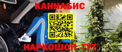 гидра Партизанск
