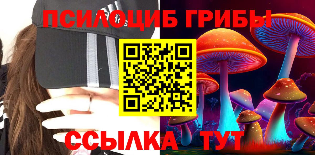 Псилоцибиновые грибы Psilocybine cubensis Сибай